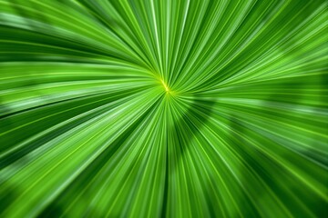 Abstract close-up of green palm leaf with radial pattern.