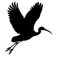 Giant ibis bird in mid flight silhouette vector illustration