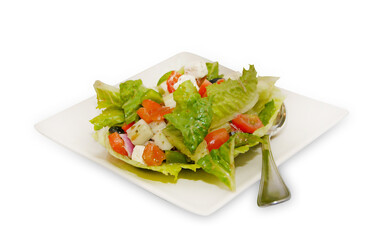 Top view of Red Oak Lettuce Salad spicy, focus selective