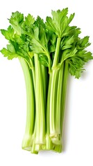 Fresh celery isolated on white background.