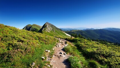 scenic mountain trail with clear blue sky and lush vegetation