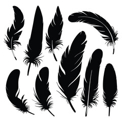 Set of black feathers silhouettes