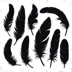 Set of black feathers silhouettes