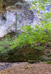 autumn sunny day, nature park, river canyon walk with an overview of the area