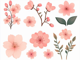 Collections of Sakura petals flowers