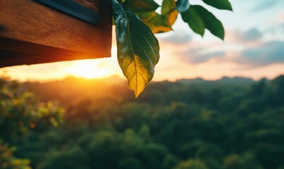 Obraz premium Golden Hour Tranquility Eco-Conscious Remote Work Inspiration - Biophilic Design Meets Digital Nomad Lifestyle in Sustainable Tropical Workspace