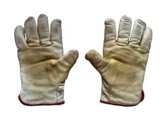 Worn Work Gloves: Pair of Leather Gloves on White