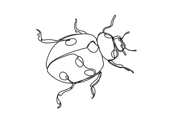 ladybug line art, line drawing style, vector illustration © ppdesign