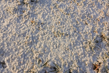 Snow covers the ground and creates a serene winter backdrop on a bright day