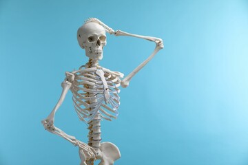 Artificial human skeleton model on light blue background, space for text