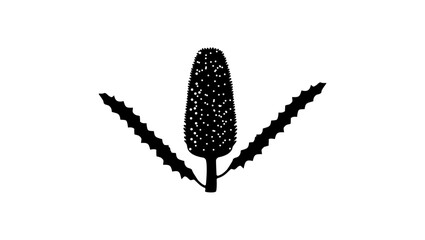 Ashby's Banksia flower, black isolated silhouette