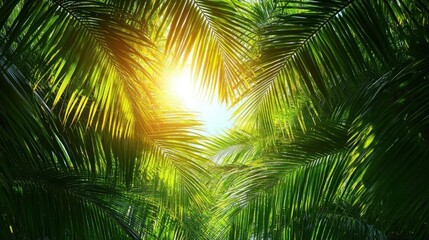 Obraz premium Tropical Paradise Palm Leaves Sunlight Nature