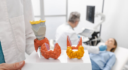 Anatomical model of thyroid pathologies against background of ultrasound procedure for female...