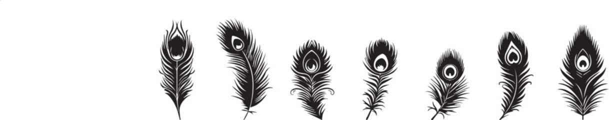 peacock feather silhouette vector set illustration
