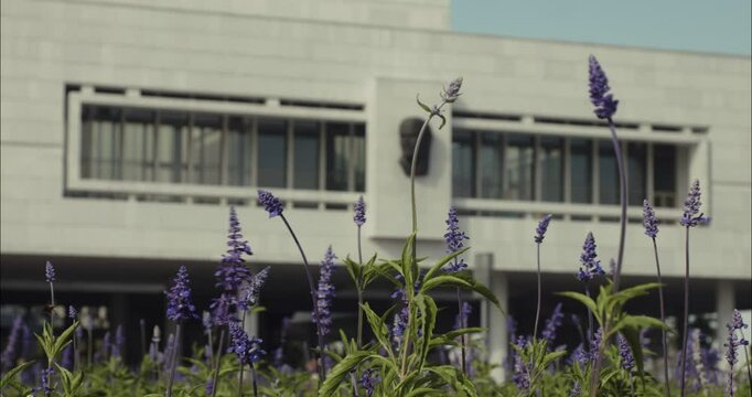 Lenin memorial building facade with purple flowers in Ulyanovsk
