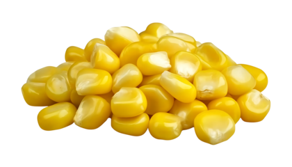 fresh, yellow corn seeds displayed  on transparent background , png , cutou