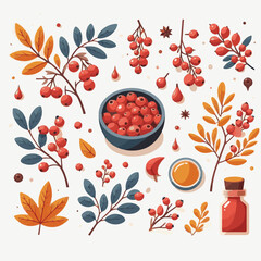 barberry, ripe, food, berry, red, leaf, fruit, plant, branch, fresh, natural, healthy, antioxidant, vitamin, spice, goji, organic, herb, background, ingredient, isolated, autumn, herbal, snack, medici