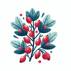 barberry, ripe, food, berry, red, leaf, fruit, plant, branch, fresh, natural, healthy, antioxidant, vitamin, spice, goji, organic, herb, background, ingredient, isolated, autumn, herbal, snack, medici