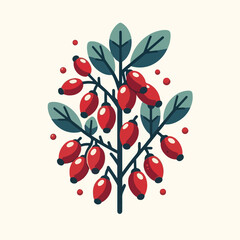 barberry, ripe, food, berry, red, leaf, fruit, plant, branch, fresh, natural, healthy, antioxidant, vitamin, spice, goji, organic, herb, background, ingredient, isolated, autumn, herbal, snack, medici