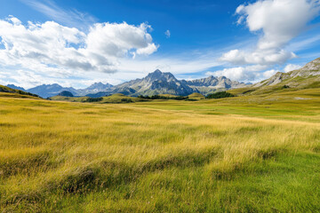 Fototapeta premium Golden meadow with mountain range under vibrant blue sky