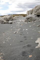 Puma tracks on the shoreline of a lake in Torres Del Paine National Park, Chile.