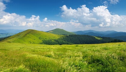Fototapeta premium nature background with green field on the hill blue sky with fluffy clouds carpathian mountain landscape in summer