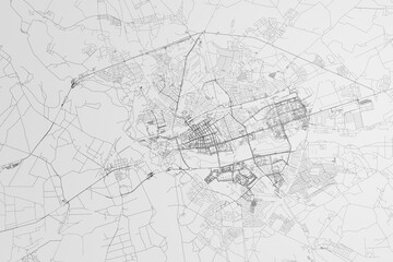 Map of the streets of Brest (Belarus) on white background. 3d render, illustration