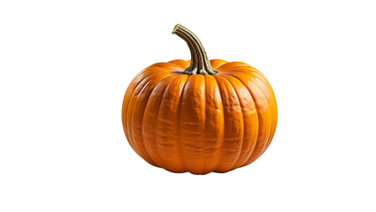 Fresh and Vibrant Orange Pumpkin for Autumn and Halloween Decor