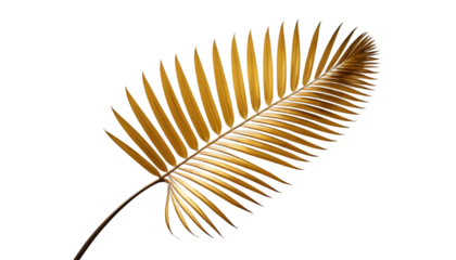 comb isolated on white background