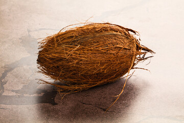 Natural exotic brown hairy coconut