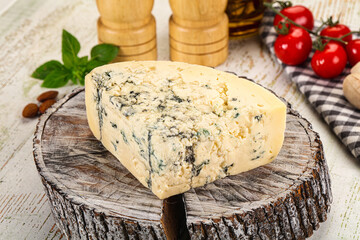 Gourmet blue cheese with mold