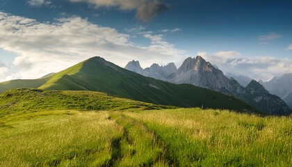 Fototapeta premium grassy landscape with mountains in background