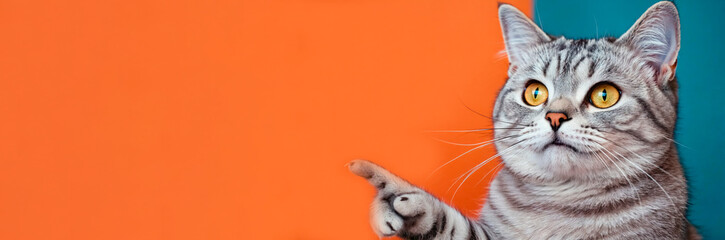 Portrait of beautiful happy cat pointing finger to the side on isolated orange banner background.