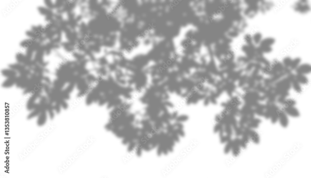 Poster realistic transparent shadow effect of tree branches with leaves creating a blurry overlay on a tran