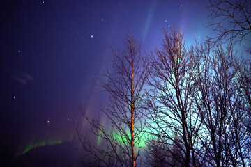 Aurora borealis, polar lights with Milky Way stars.