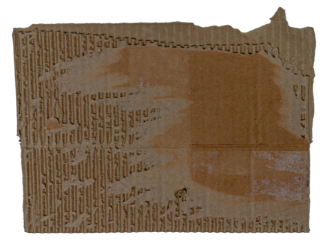 Isolated torn corrugated cardboard on white background, copyspace