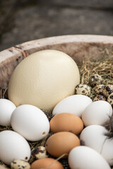 Nat&uuml;rliche Ostereier &ndash; Vielfalt an Eiern im Heu mit rustikaler Fr&uuml;hlingsstimmung