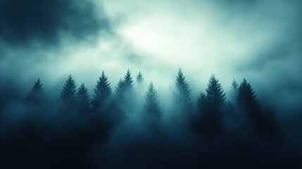 Obraz premium Foggy forest trees