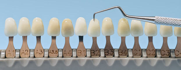 Tooth shade guide with dental scaler tool
