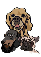 Illustration of a group of dogs on a white background