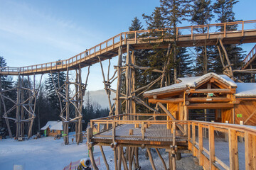 Drewniana ścieżka wśród drzew w Krynicy. © Jacek