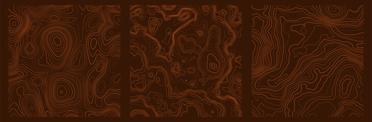 Topographic map. Geographic contour map background with elevation lines. Detailed terrain visualization concept. Vector illustration of landscape elevations and natural relief.