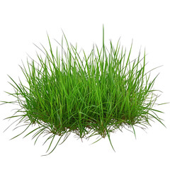Patch of Green Grass &ndash; Fresh and Lush Natural Landscape on transparent background