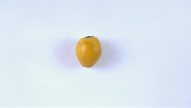 A fresh young dates or rutob dates or ruthob dates on a white background.