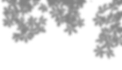 Obraz premium Transparent overlay shadow of leaves falling on a checkered background
