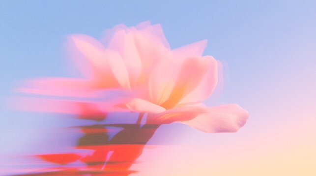 Fototapeta Blurry abstract flower with dreamy pastel color palette displayed beautifully