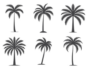 Fototapeta premium palm tree silhouette set