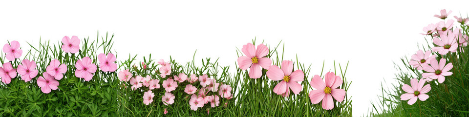 Fototapeta premium A serene and picturesque scene of a flourishing garden filled with an abundance of delicate pink blossoms nestled within a verdant field of fresh green grass