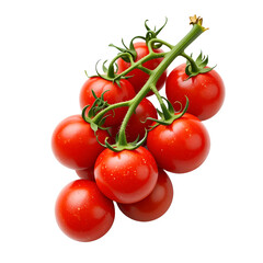 Fresh Cherry Tomatoes on the Vine, Isolated on White Background