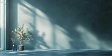 Minimalist Interior with Sunlight and Greenery